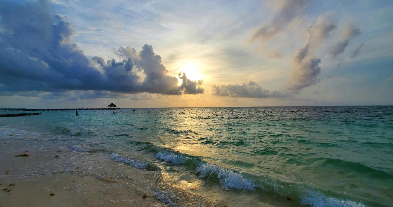 Layla Guesthouse Puerto Morelos Dış mekan fotoğraf