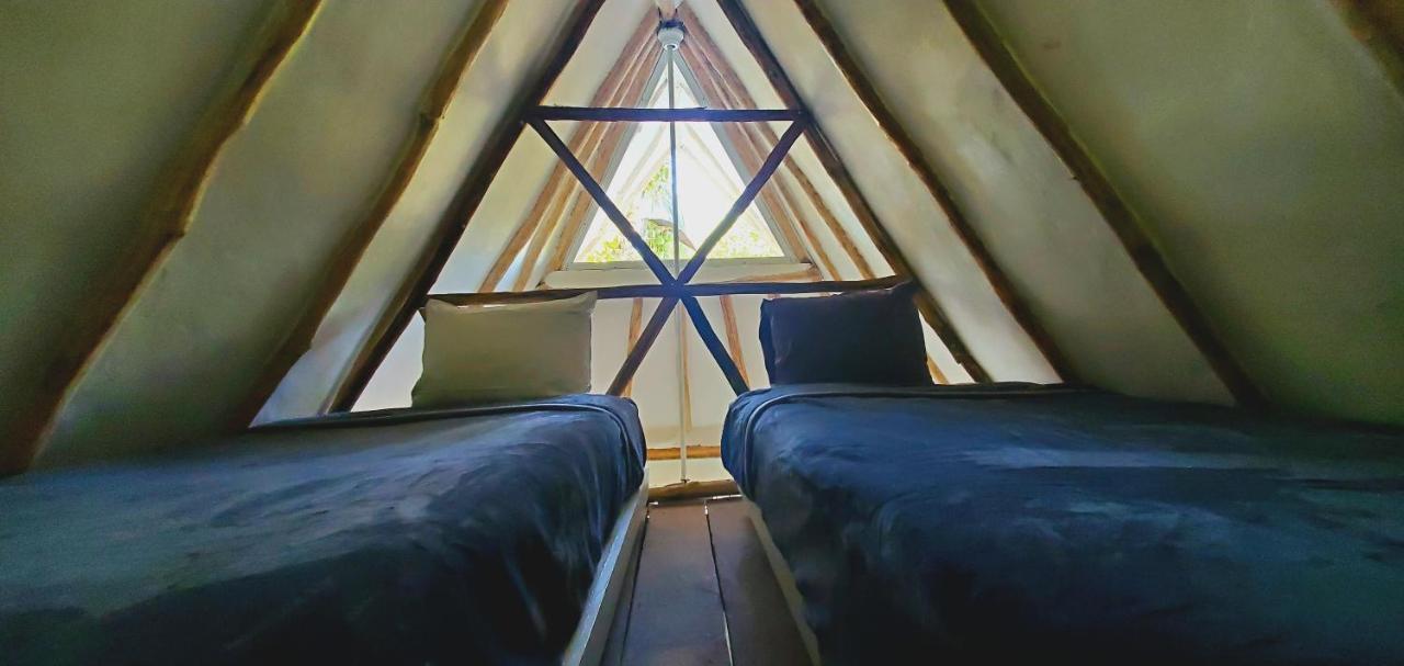 Layla Guesthouse Puerto Morelos Dış mekan fotoğraf